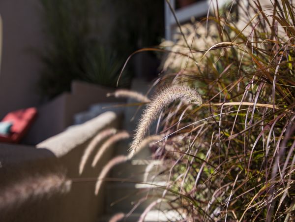 Los Angeles Home 1006465