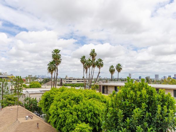 Los Angeles Home 1006469