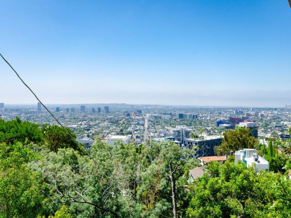 Los Angeles Home 1006489