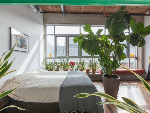 Los Angeles Home 1006495