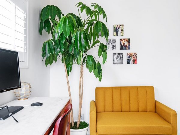 Los Angeles Home 1006524