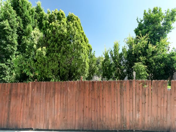 Los Angeles Home 1006529