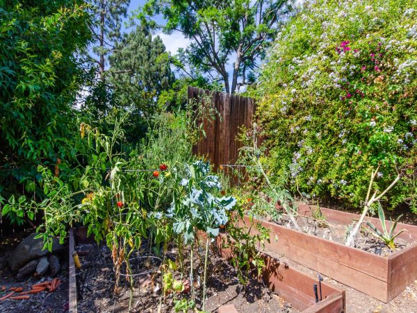 Los Angeles Home 1006532