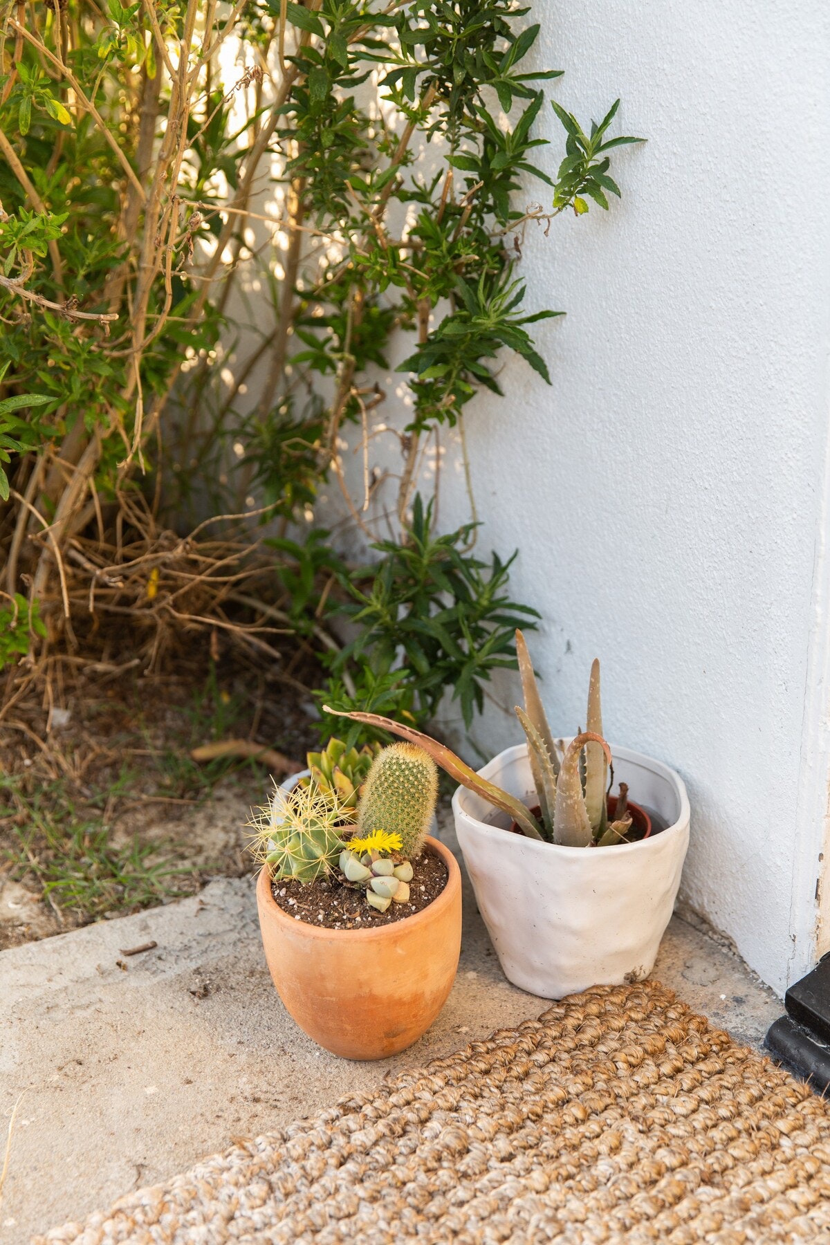 Los Angeles Home 1006551