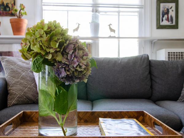Los Angeles Home 1006560