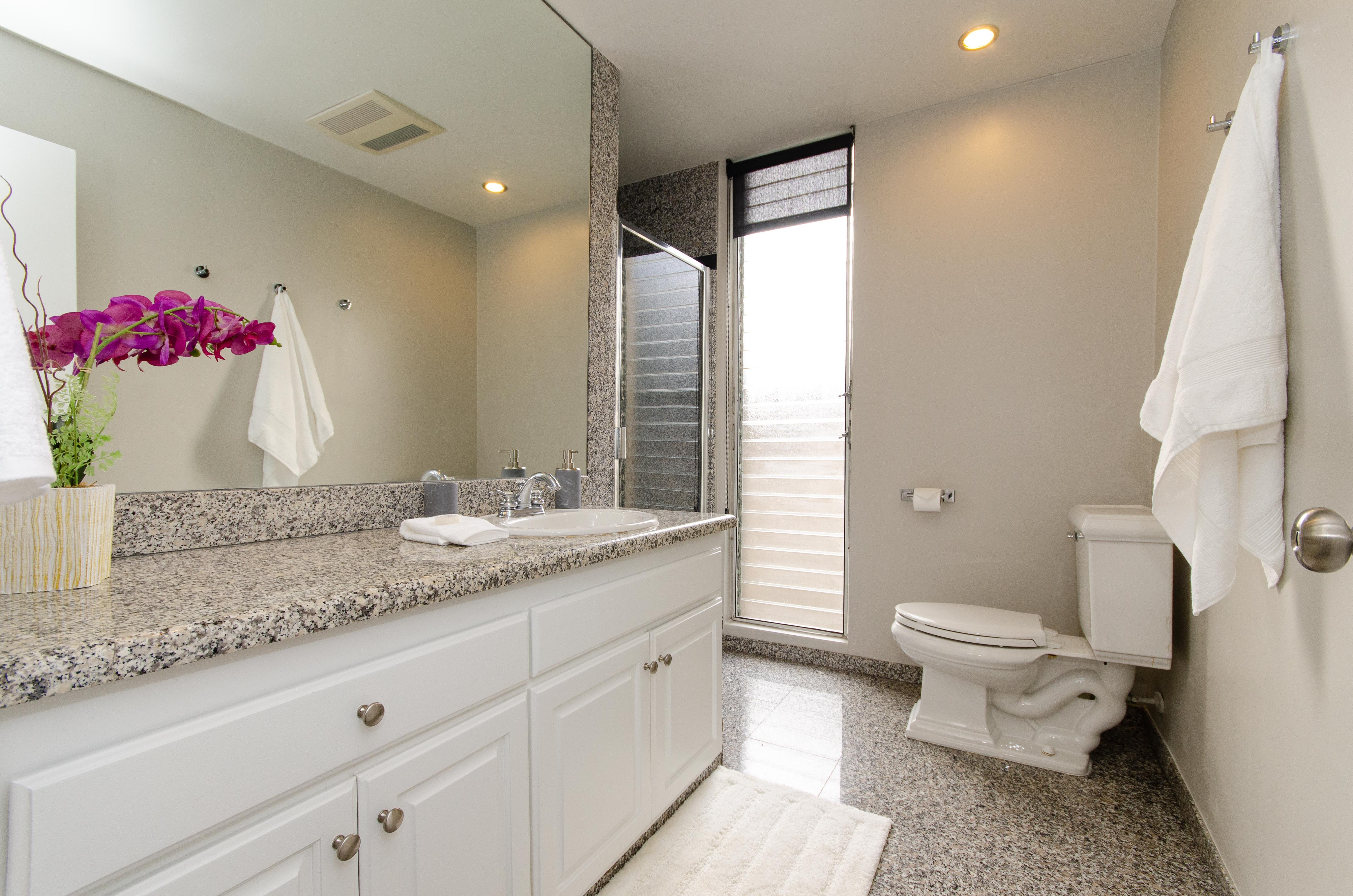 Los Angeles Home 1006596