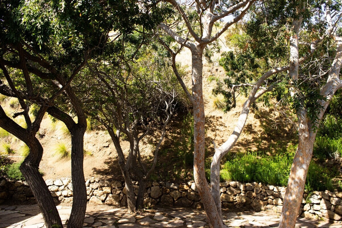 Los Angeles Home 1006608