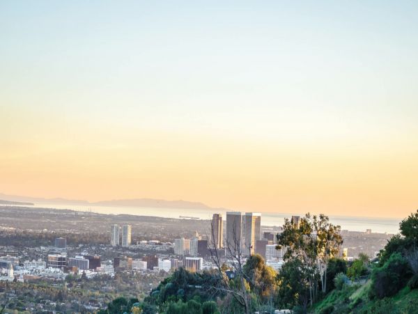 Los Angeles Home 1006643