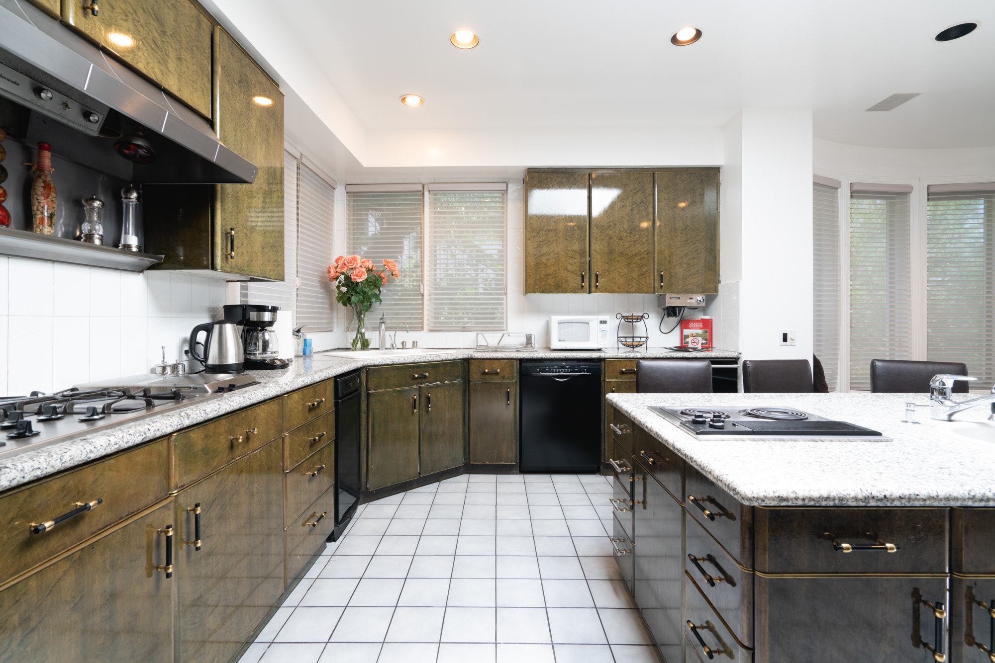Los Angeles Home 1006646