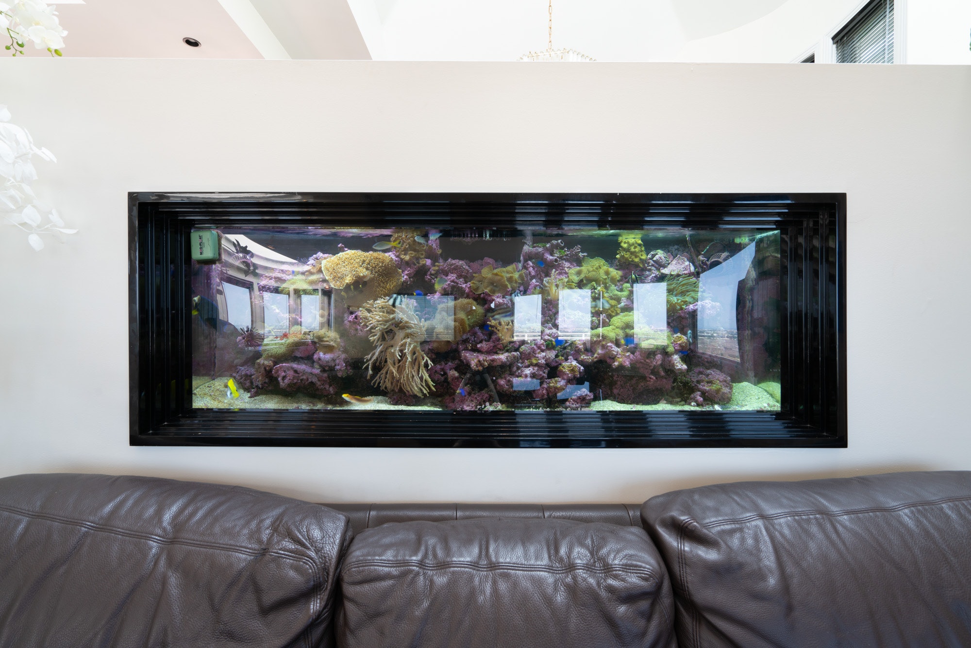Los Angeles Home 1006646