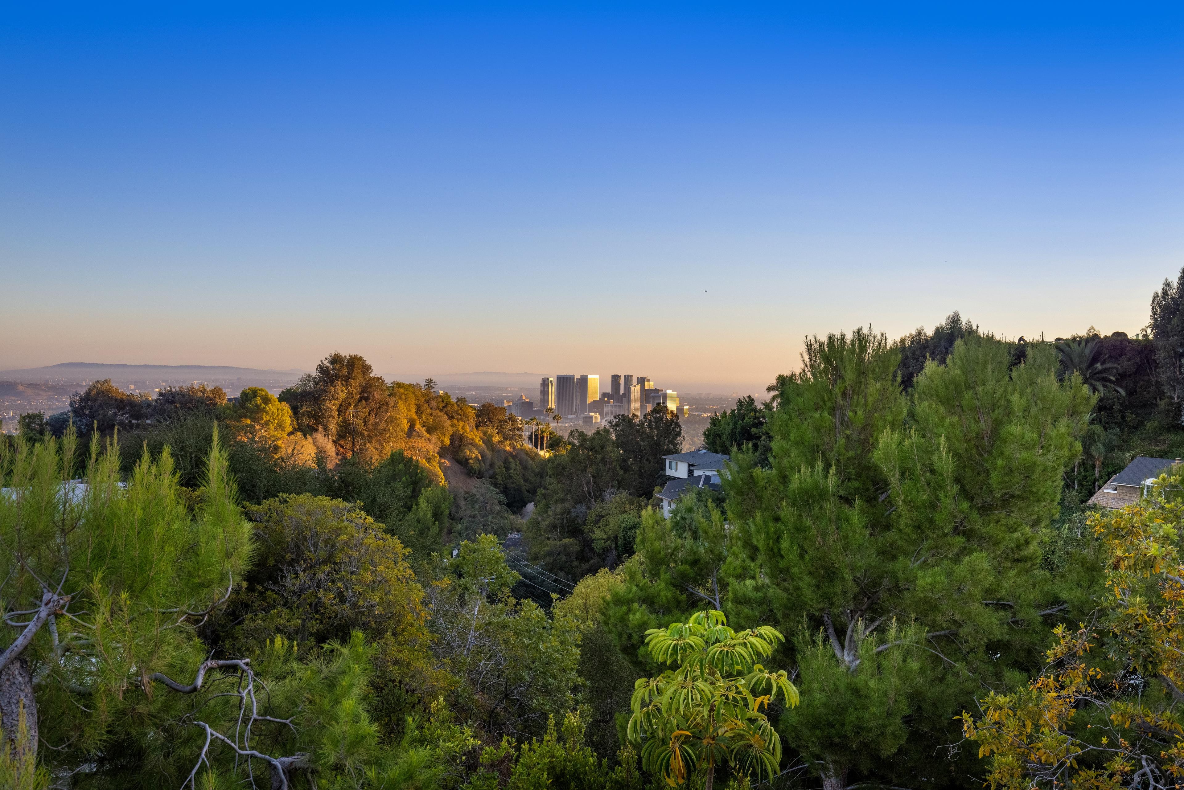 Los Angeles Home 1006671