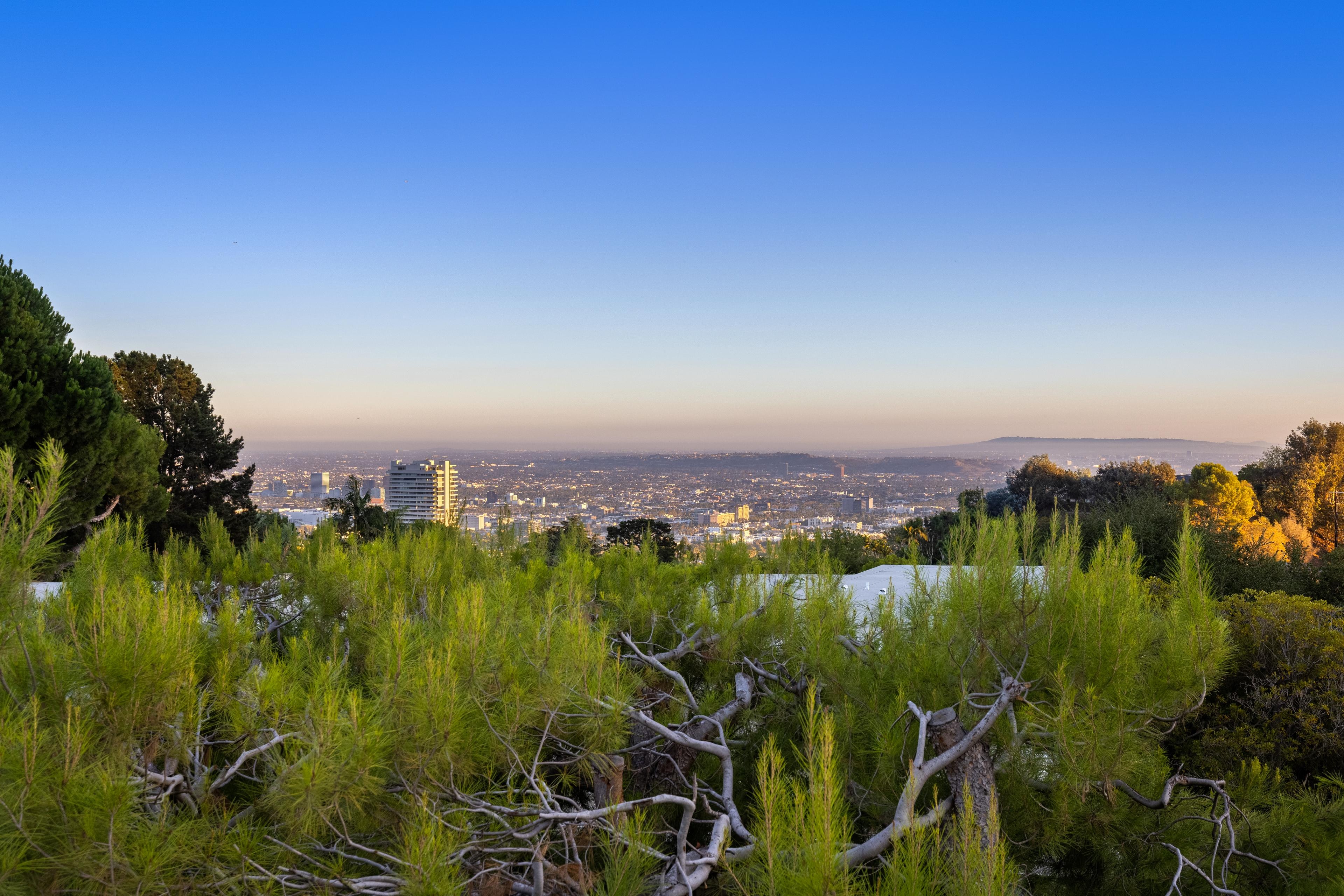 Los Angeles Home 1006671