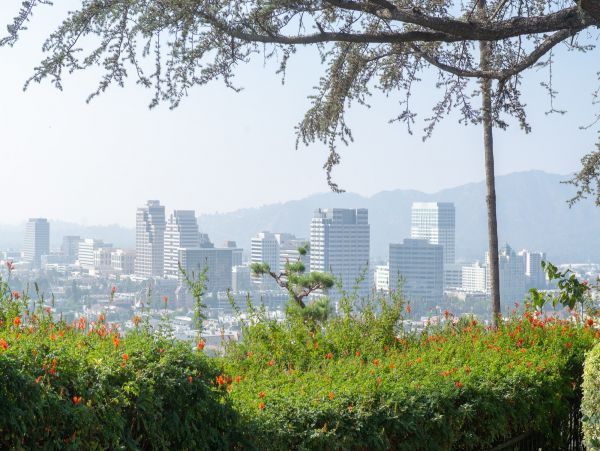 Los Angeles Home 1006688