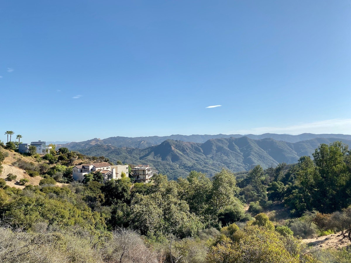 Los Angeles Home 1006695