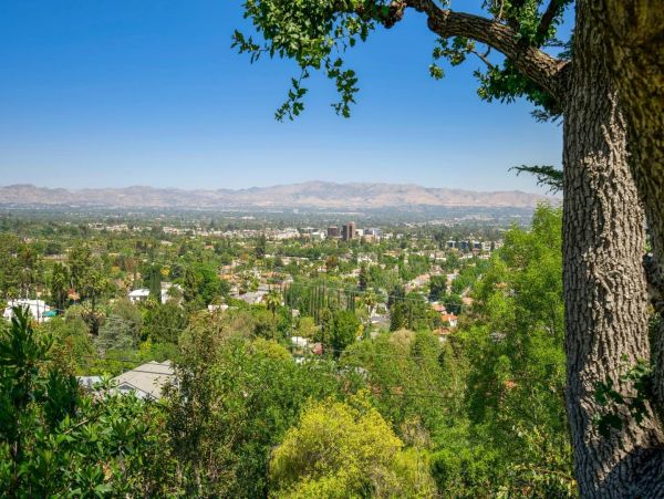 Los Angeles Home 1006703