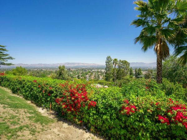 Los Angeles Home 1006703