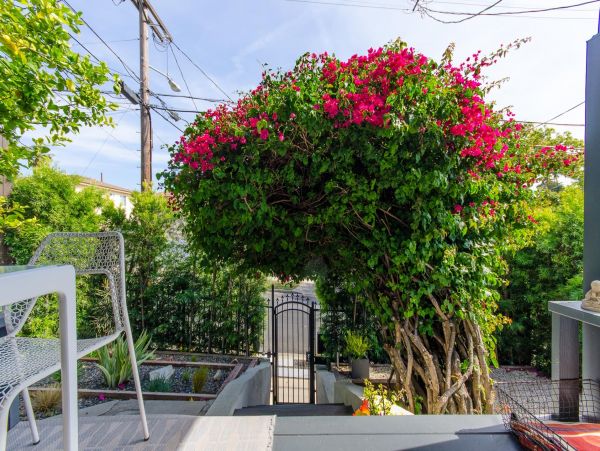Los Angeles Home 1006709