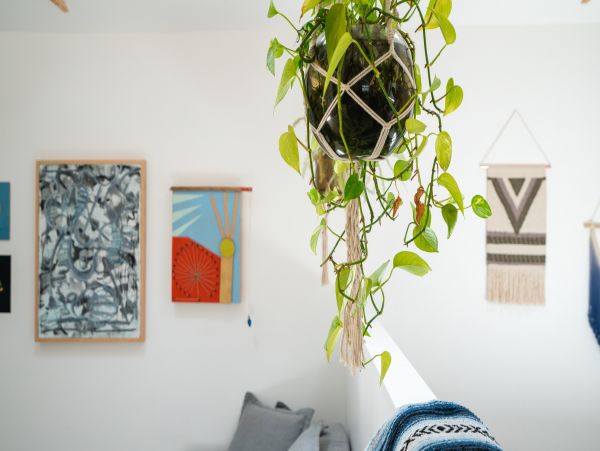 Los Angeles Home 1006723