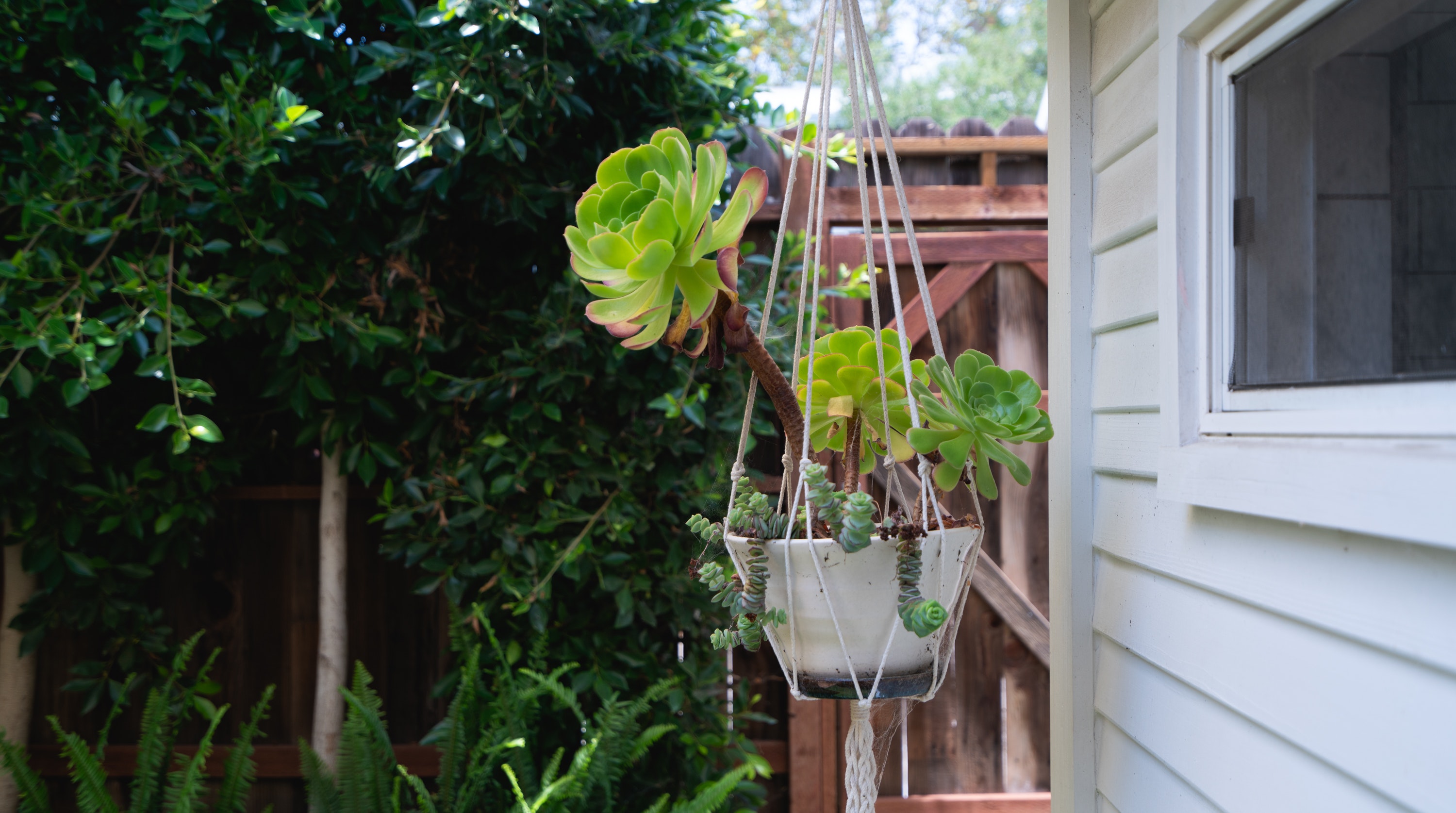 Los Angeles Home 1006723