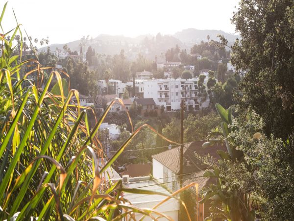 Los Angeles Home 1006738