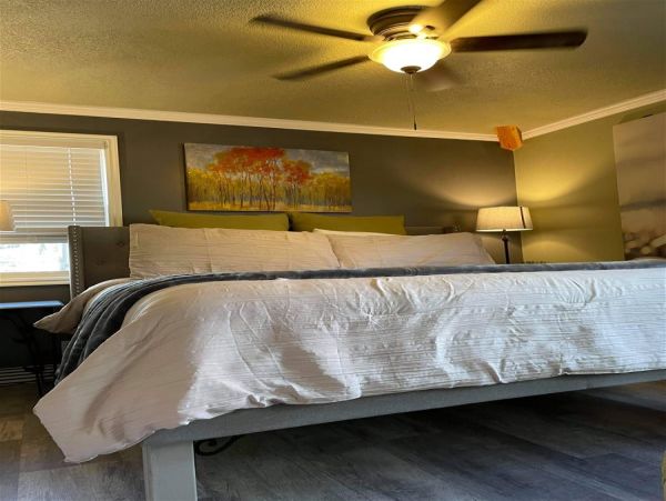 Brighton Home 1006778