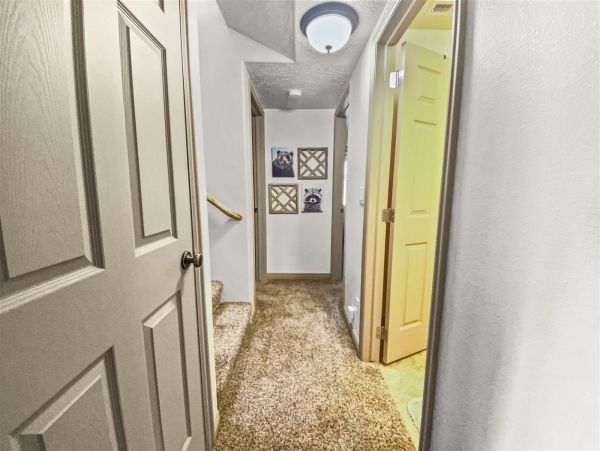 Brighton Home 1006795