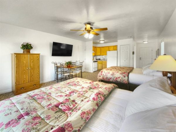 Brighton Home 1006828