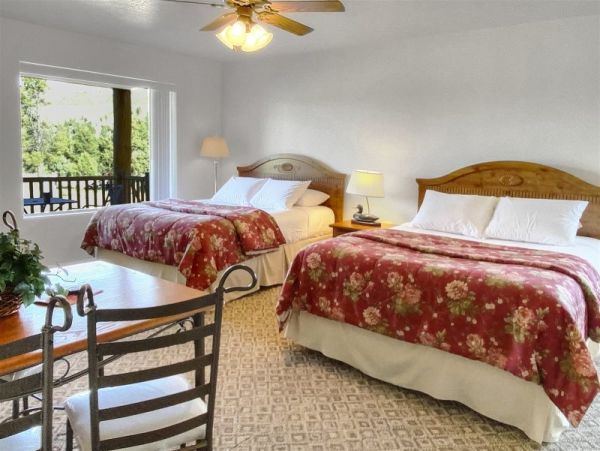 Brighton Home 1006862