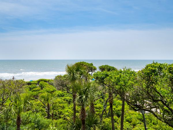 Kiawah Island Condo 1006917