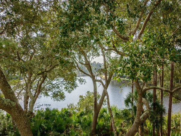 Kiawah Island Home 1006918