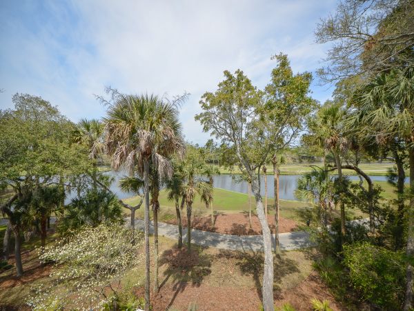 Kiawah Island Home 1006919
