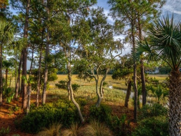 Kiawah Island Home 1006920
