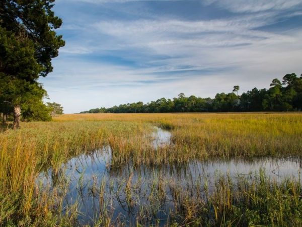 Kiawah Island Home 1006920