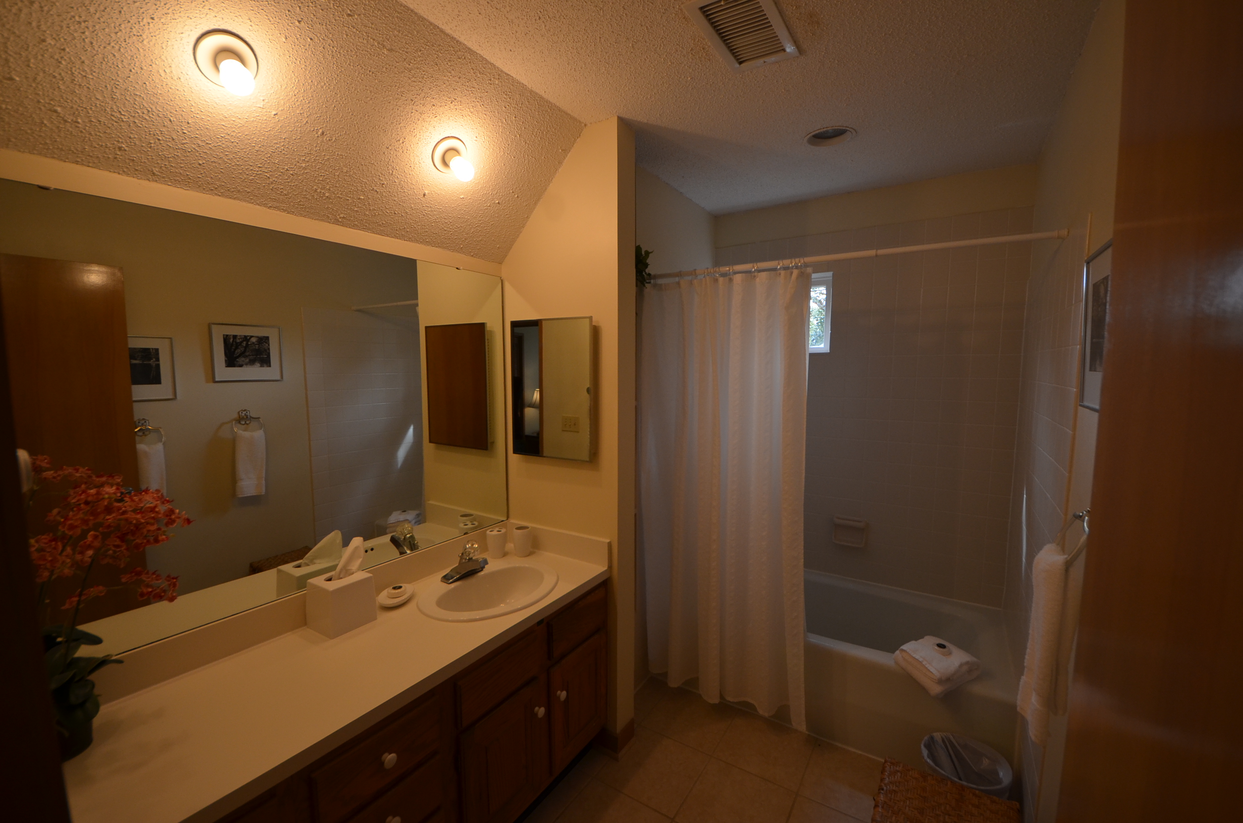 Kiawah Island Condo 1006922