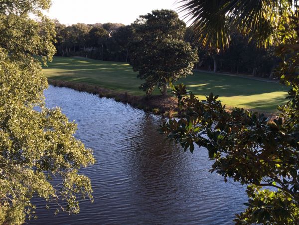 Kiawah Island Condo 1006925