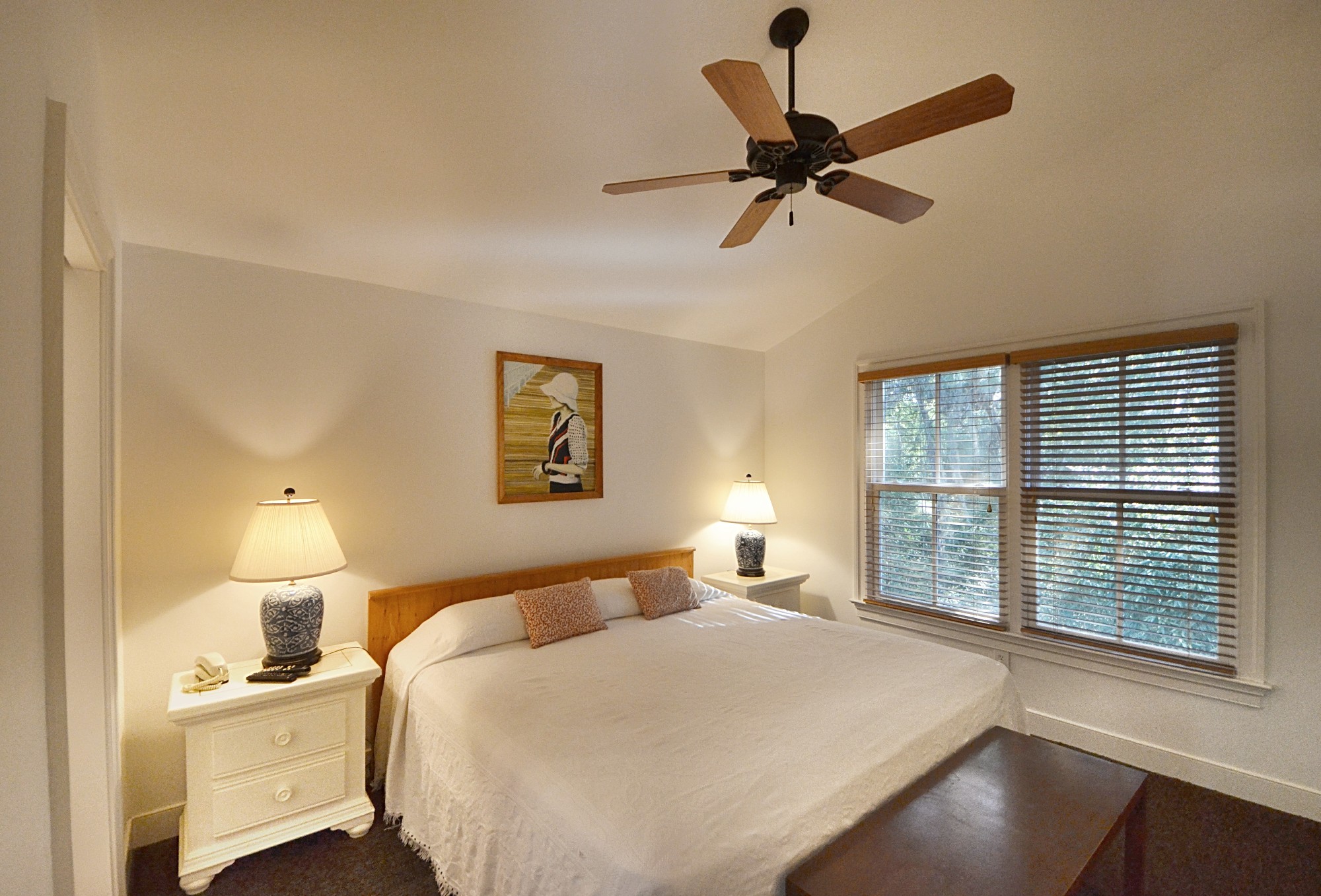 Kiawah Island Home 1006927