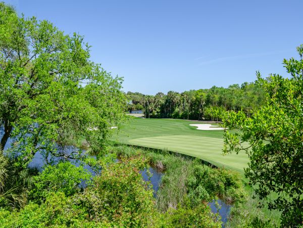Kiawah Island Home 1006933