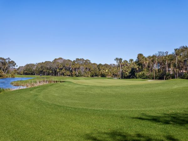 Kiawah Island Home 1006933