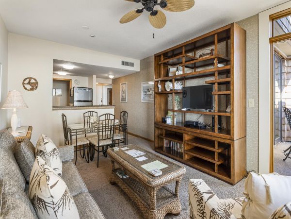 Kiawah Island Condo 1006936