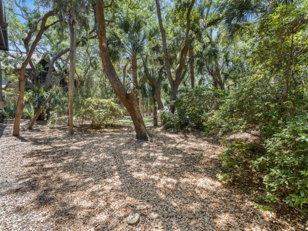 Kiawah Island Condo 1006939