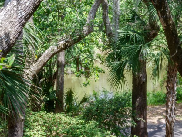 Kiawah Island Condo 1006944