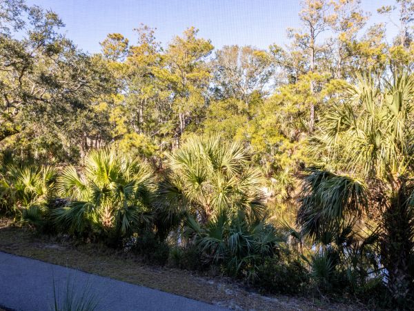 Kiawah Island Condo 1006944