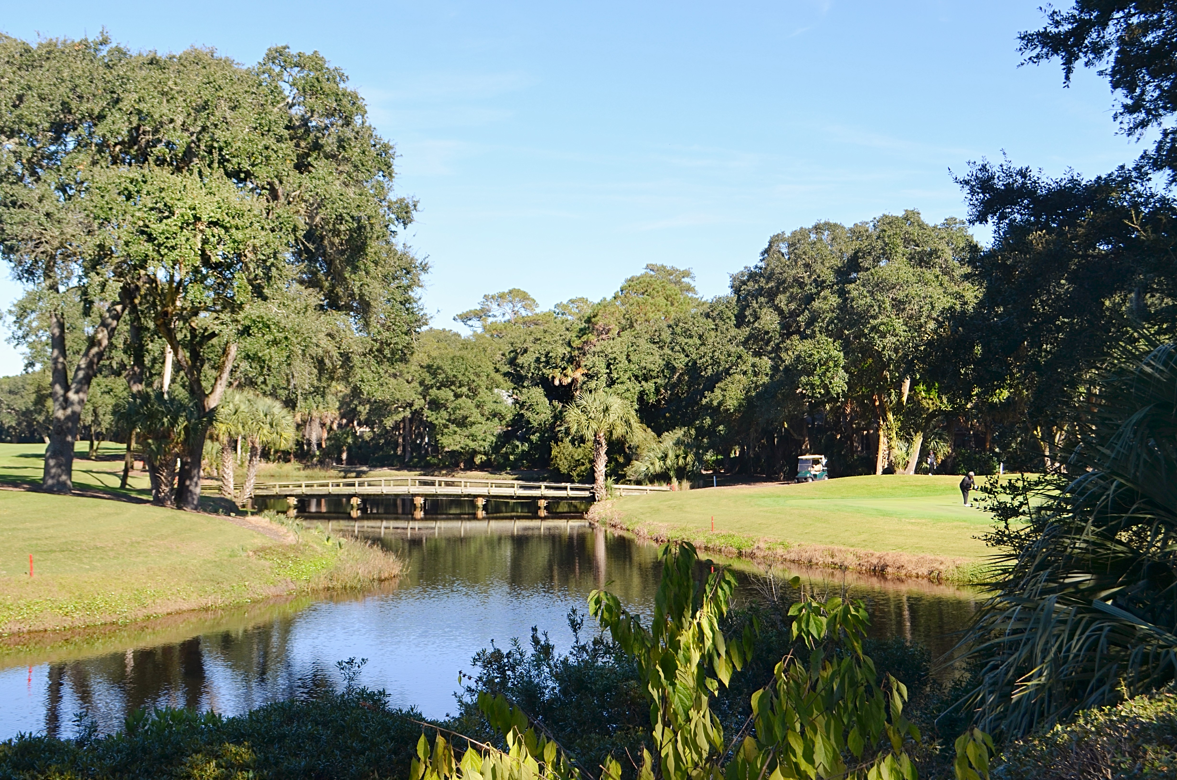 Kiawah Island Home 1006947