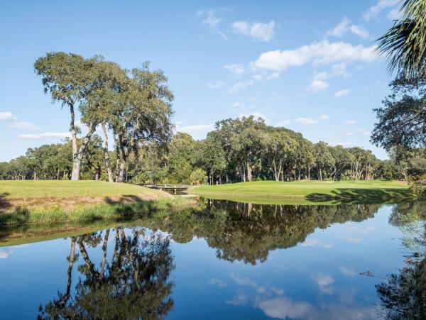 Kiawah Island Home 1006947