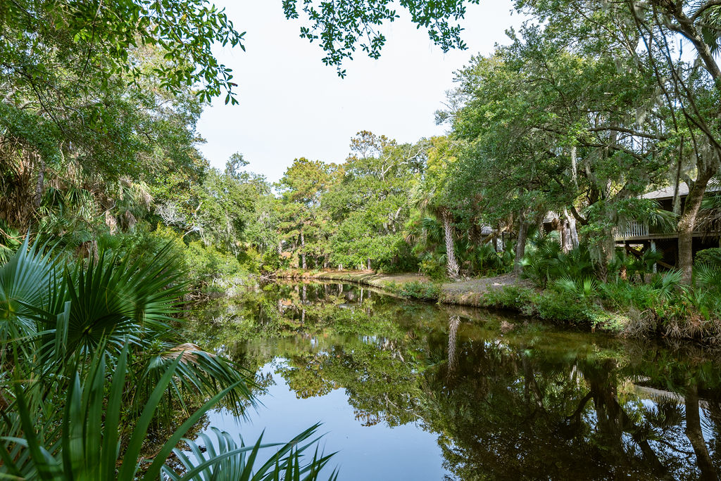Kiawah Island Home 1006948