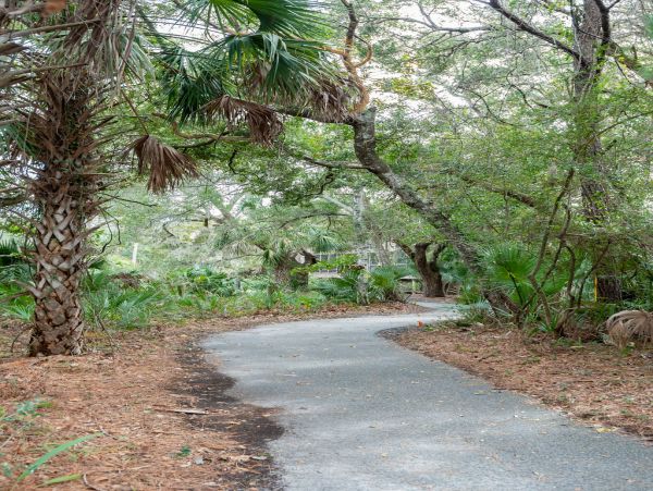Kiawah Island Home 1006948