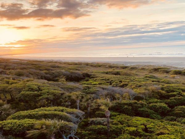 Kiawah Island Condo 1006951