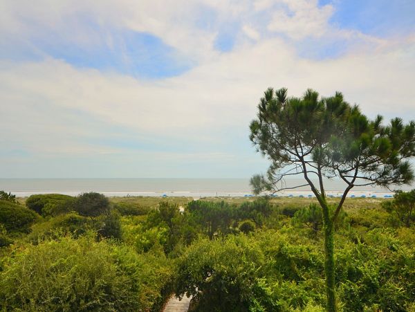 Kiawah Island Condo 1006968