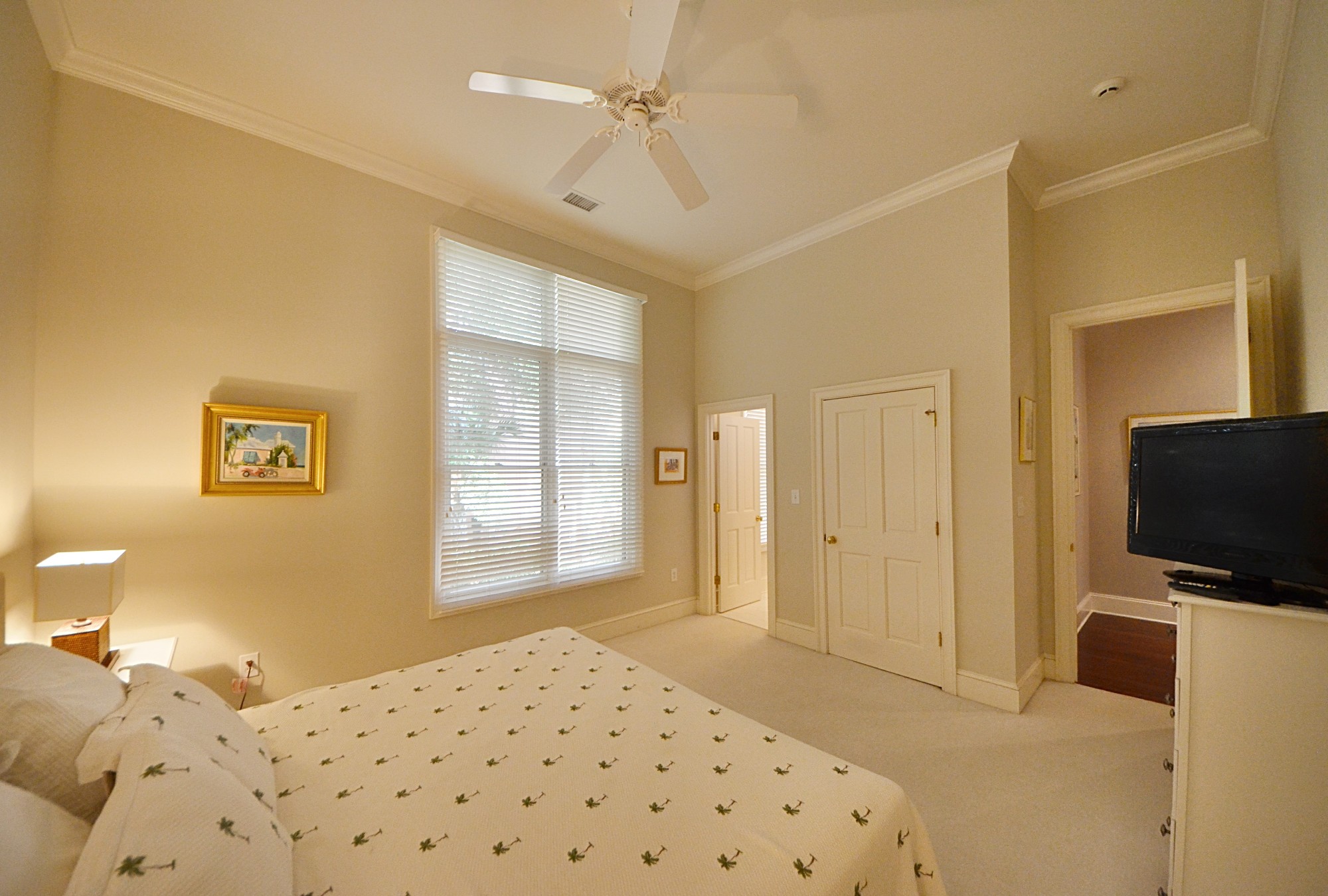 Kiawah Island Home 1006972
