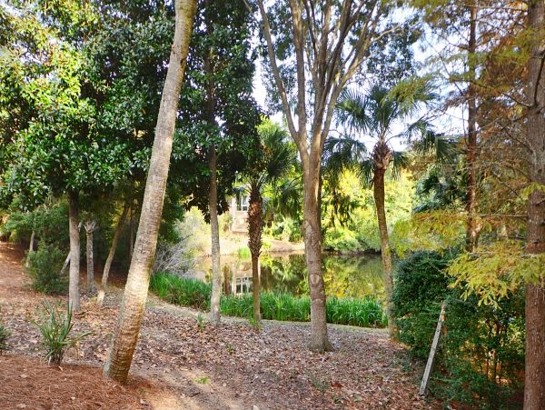 Kiawah Island Home 1006972